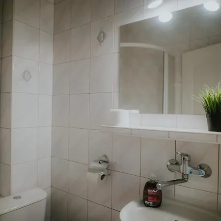 ベッド・アンド・ブレックファスト Wiking 3*