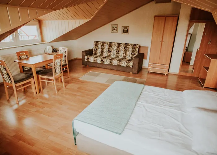 فندق مبيت وإفطار Wiking 3*