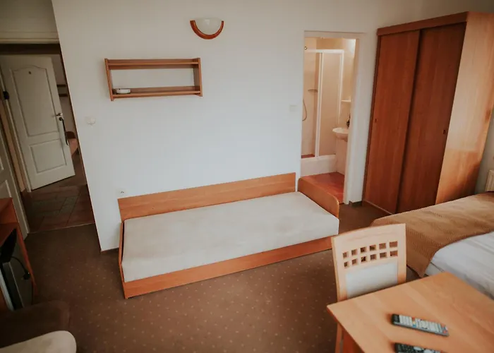 فندق مبيت وإفطار Wiking 3*