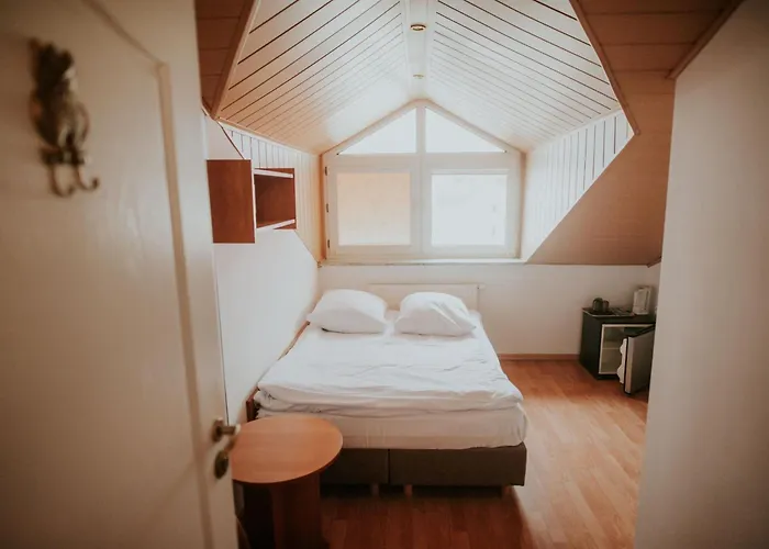 فندق مبيت وإفطار Wiking