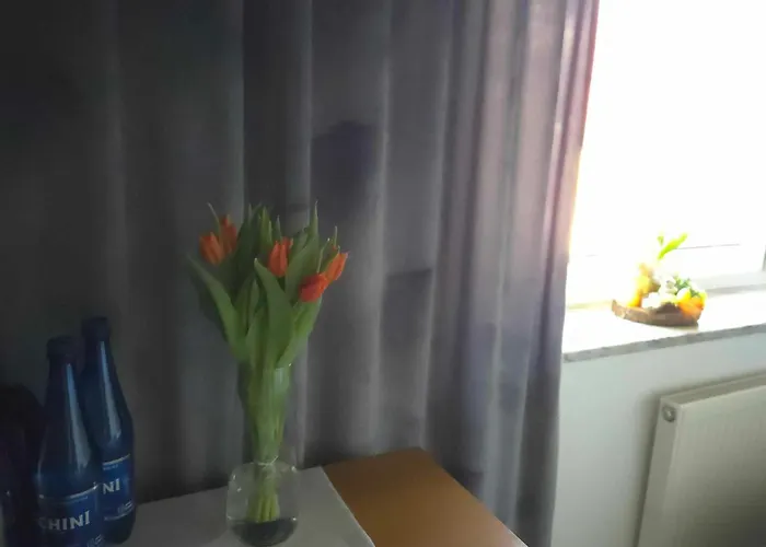 فندق مبيت وإفطار Wiking Jastrzębia Góra